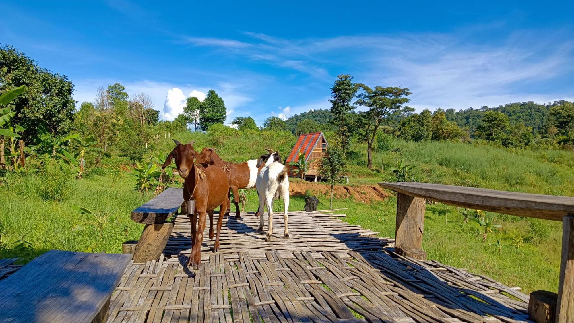 ไร่นิธิสุนทร Nithisoonthon Farmstay Mehongszon Kültér fotó